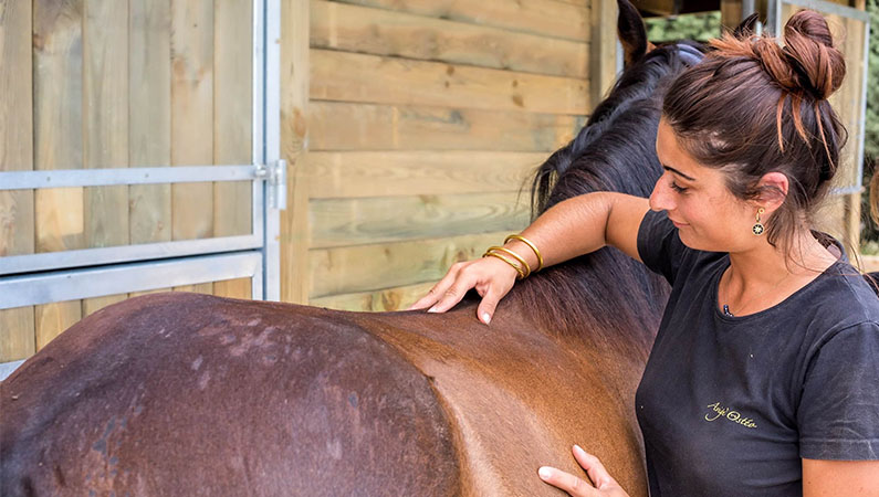 ostéopathie equins